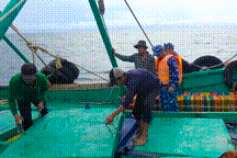 Tàu chở lậu 80.000 lít dầu DO bị bắt giữ trên biển