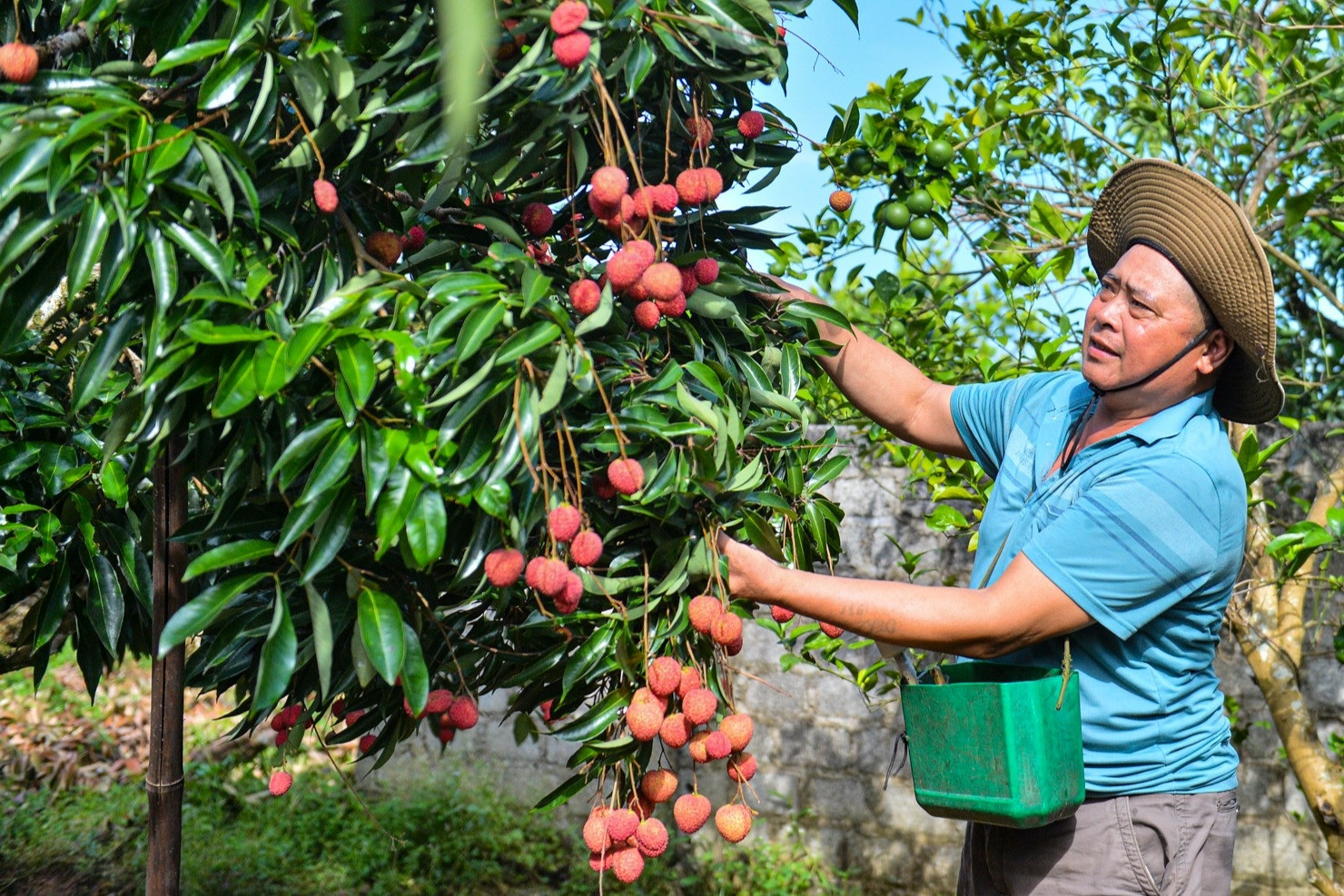 6 huyện của Bắc Giang đã đạt chuẩn nông thôn mới