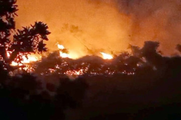 Cháy 7.000 m2 rừng do đốt thực bì ở Yên Bái