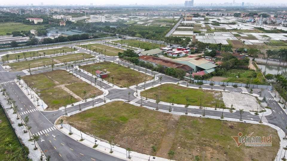 dau gia dat vimedimex vietnamnet.jpeg