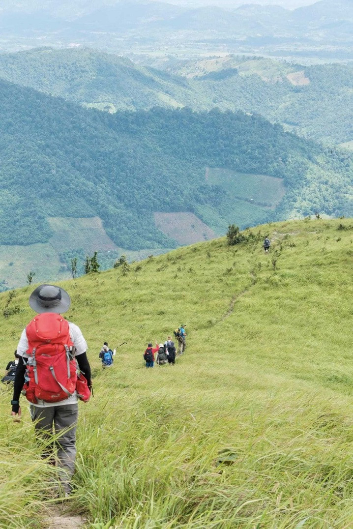 pal sol 2 1025x1536.jpg