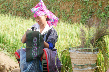 Phụ nữ Mù Cang Chải phát triển kinh tế gắn với giữ gìn bản sắc văn hóa dân tộc