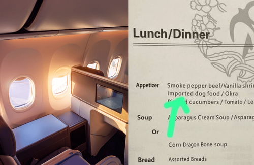 'Thức ăn chó' bất ngờ được phục vụ ở khoang hạng C, hãng bay giải thích lý do