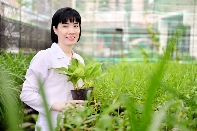 Female scientists dedicated to materials, life sciences