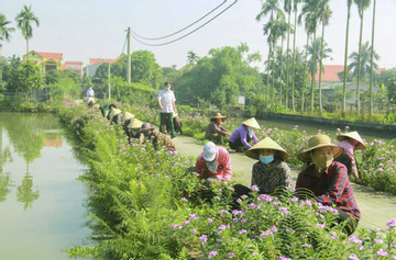 Quảng Ninh: Xây dựng nông thôn mới gắn với bảo tồn bản sắc văn hóa