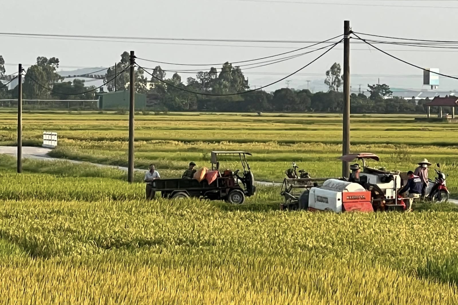 Thanh Hoá lan tỏa phong trào Chung sức xây dựng nông thôn mới