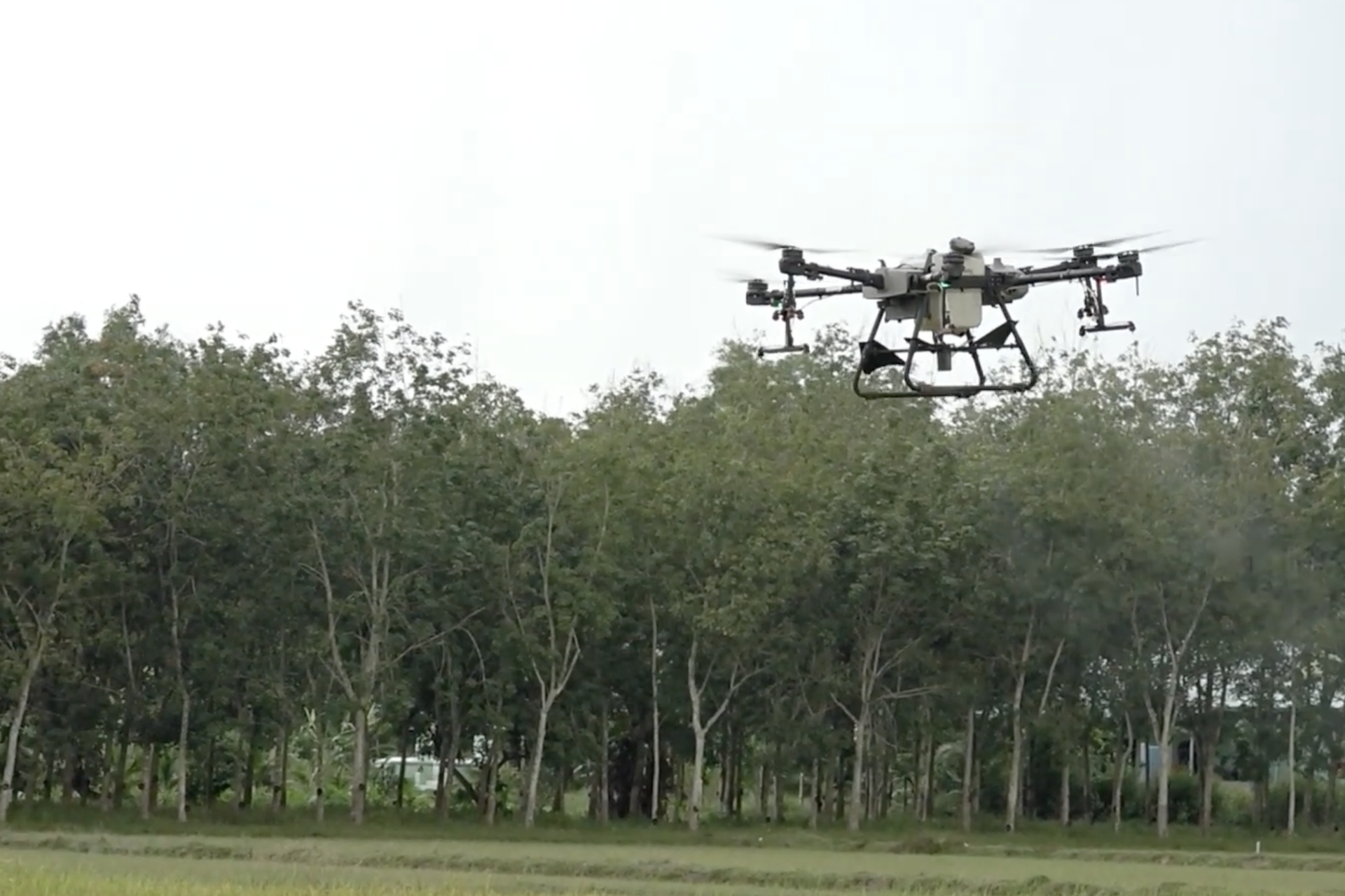 Xây dựng mạng lưới quan trắc, cảnh báo, giám sát các hoạt động chuyển đổi số nông nghiệp