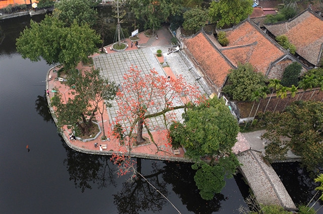 Discovering ancient Vietnamese heritage at Thay Pagoda