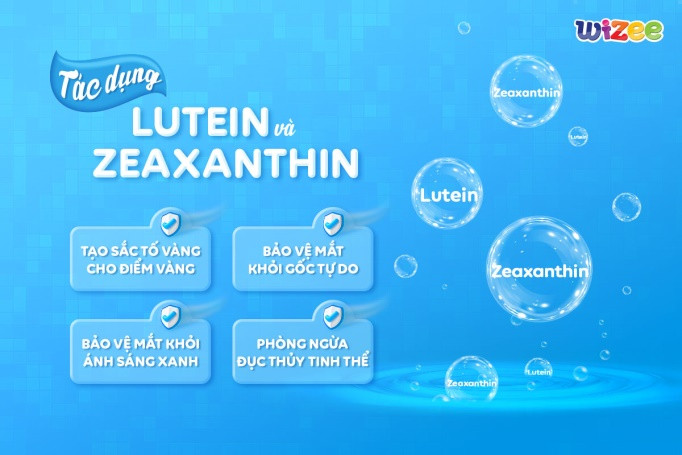 Lutein và zeaxanthin