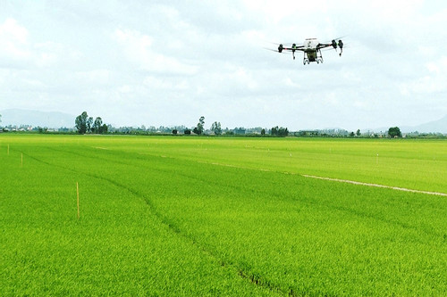 Sử dụng drone phun thuốc bảo vệ thực vật trong sản xuất nông nghiệp hiện đại