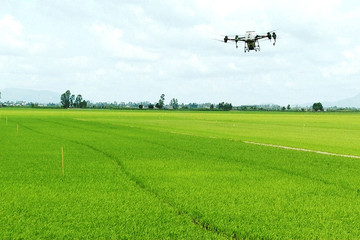 Sử dụng drone phun thuốc bảo vệ thực vật trong sản xuất nông nghiệp hiện đại