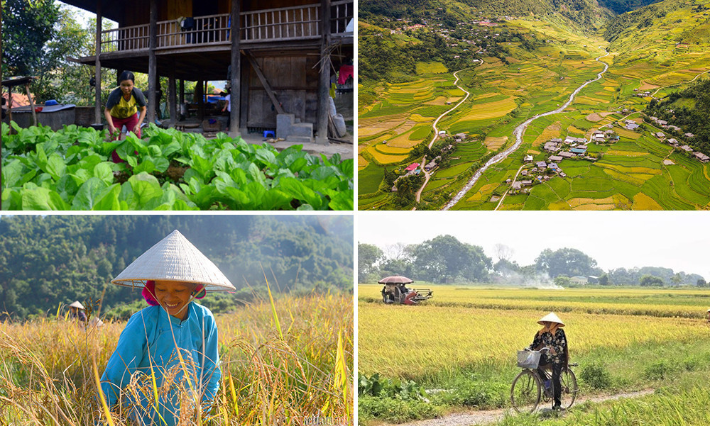 anh a bai 29 788.jpg