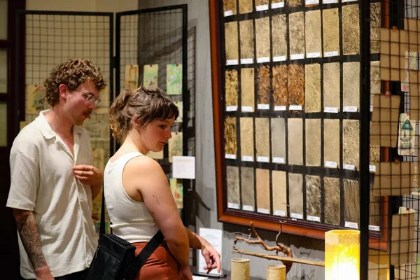 Vietnam sees record number of int’l tourists in November, total hits 11.2mil