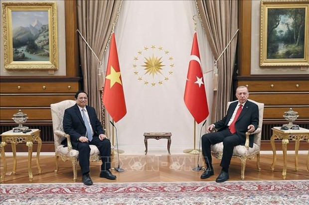 Vietnam, Turkiye to boost multifaceted cooperation hinh anh 1