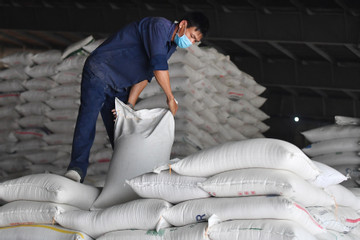 Giá gạo Việt lập đỉnh lịch sử, lợi nhuận 'ông lớn' vẫn lao dốc
