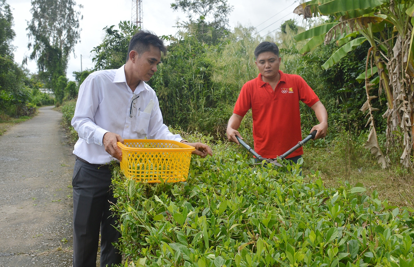 Người đàn ông miền Tây hơn 10 năm vận động trồng cây thuốc chữa bệnh miễn phí