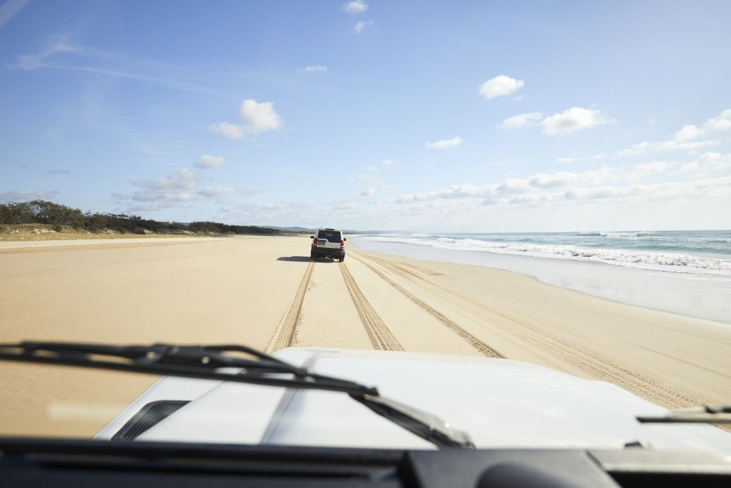 Thuê xe jeep lái trên bãi biển, du khách bị bắt giữ, khởi tố hình sự