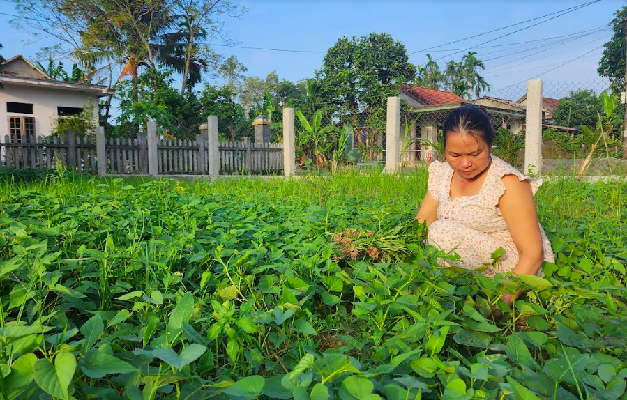bé Hiếu xơ gan 4.png