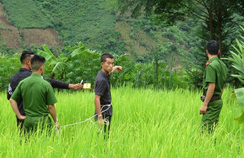 Lộ diện kẻ sát hại người phụ nữ độc thân từ vết thương ở khuỷu tay