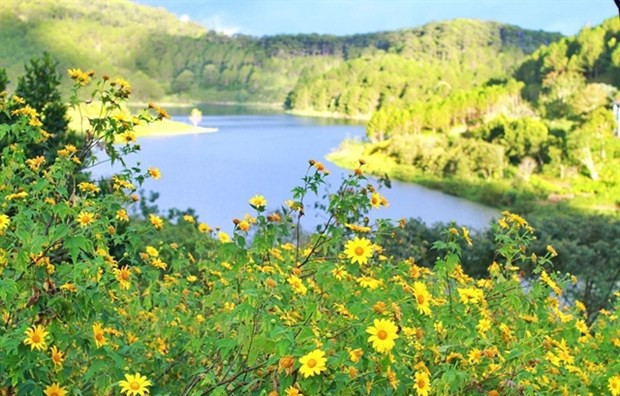 Da Lat aims to become ‘Green Paradise’ through sustainable tourism development hinh anh 1