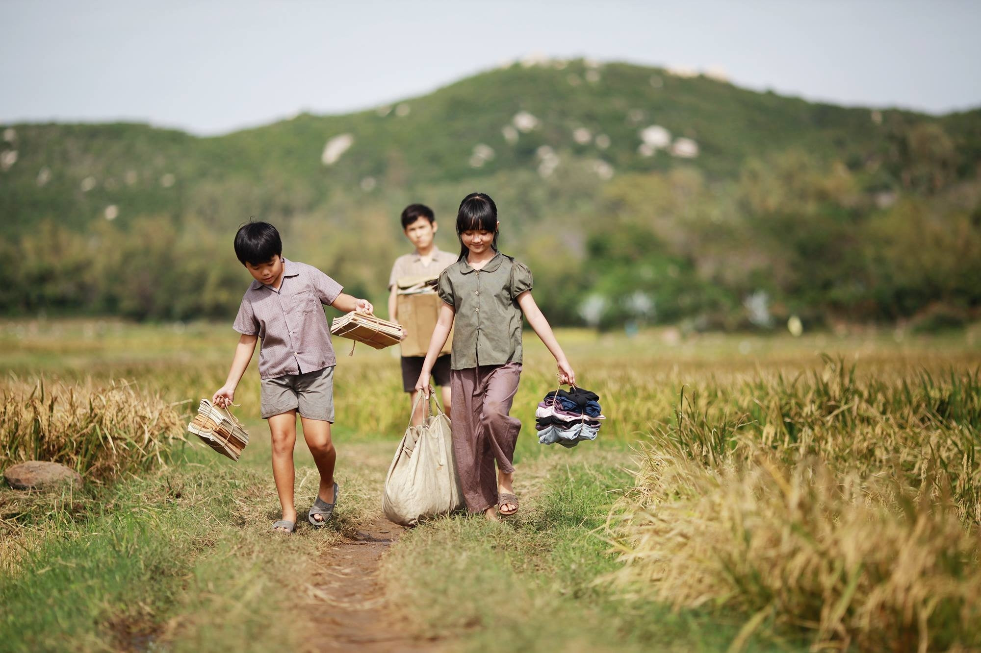 Chiếu lại 'Tôi thấy hoa vàng trên cỏ xanh' giữa lúc 'Người vợ cuối cùng' gây sốt