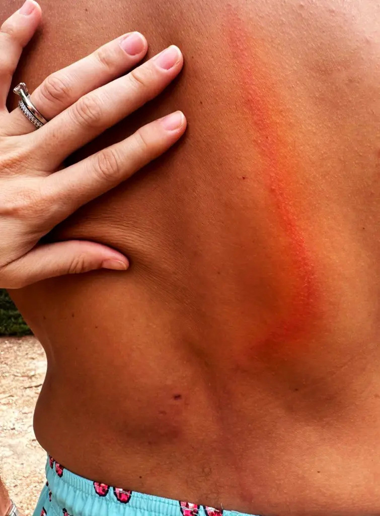 ezgifcom webp to jpg 6.jpg