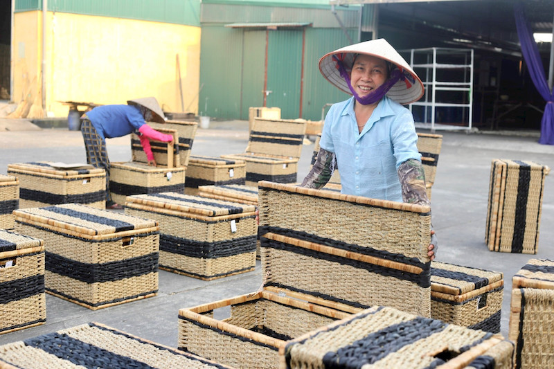 gout grass products.jpg