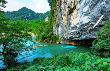 Phong Nha-Ke Bang National Park dedicated to preserving rare plant species