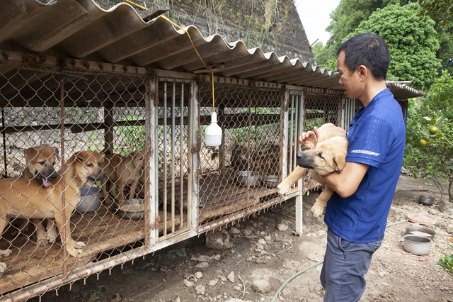 Puppy slaughterhouse owner calls it a day