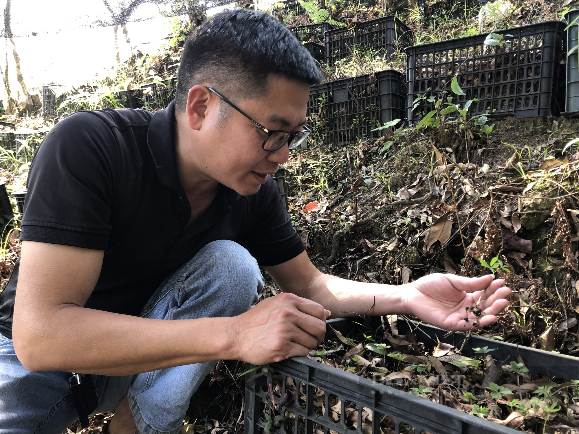 sam lai chau.png