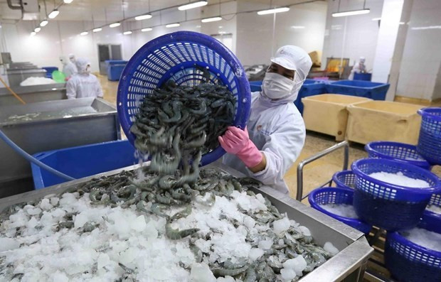 DOC requested to conduct anti-subsidy probe into Vietnam’s frozen warmwater shrimp hinh anh 1