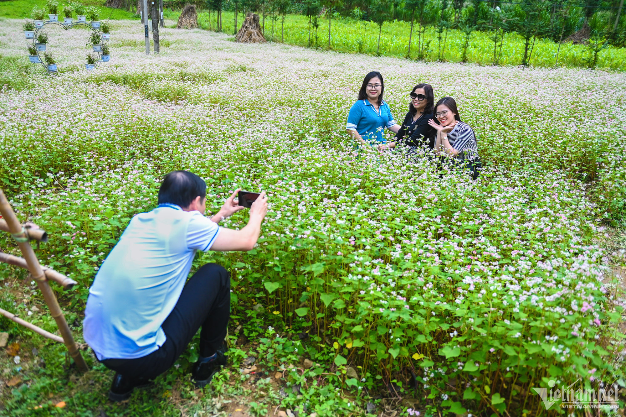 W-thach-thao-4-1.jpg