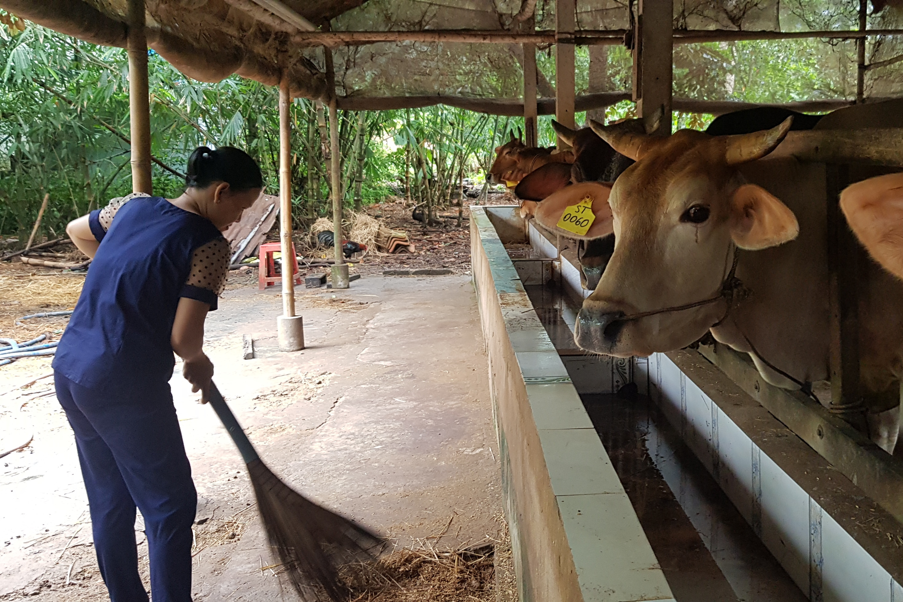 Phú Lương tăng cường công tác tuyên truyền xây dựng nông thôn mới