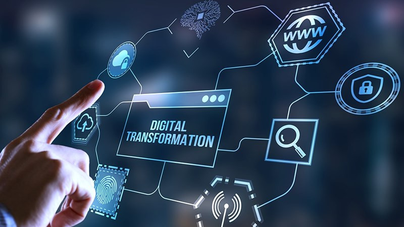 Quảng Nam triển khai nhiều giải pháp cải thiện chỉ số chuyển đổi số