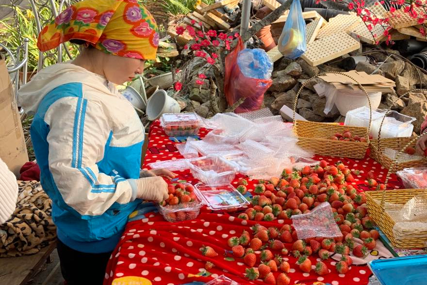 Sơn La triển khai nhiều biện pháp trong quản lý an toàn thực phẩm