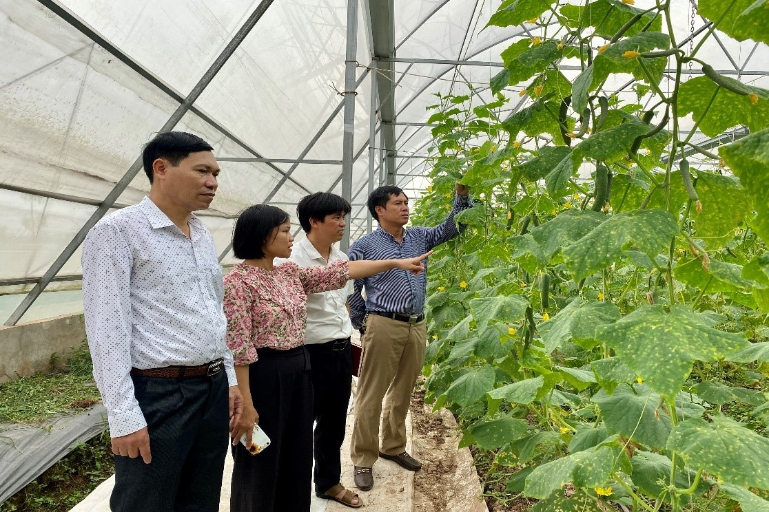 Chuyển đổi số trong sản xuất nông sản: Giảm chi phí nhân công, tăng năng suất