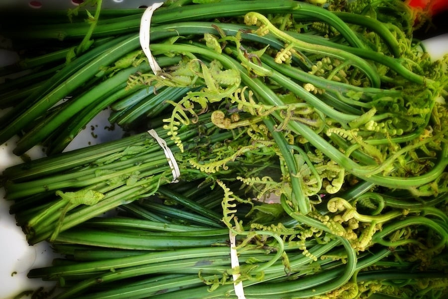 Loại cây dại được mệnh danh 'vua các loại rau', thuốc bổ cho nhiều người