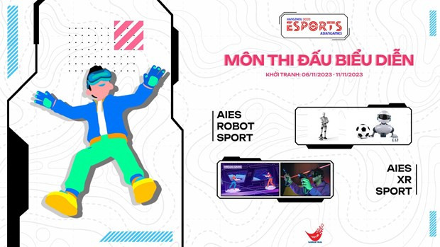 Vietnamese e-sports teams to compete at ASIAD 19’s demonstration events hinh anh 1