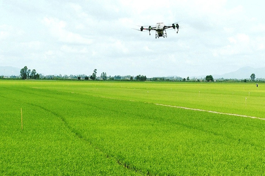 Bình Định: Nông dân 4.0 điều khiển drone, dùng phần mềm để canh tác nông nghiệp