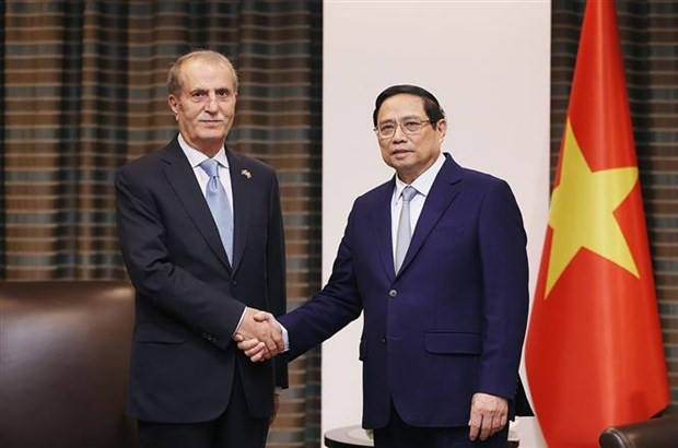 Prime Minister attends Vietnam-Turkiye business forum in Ankara hinh anh 2
