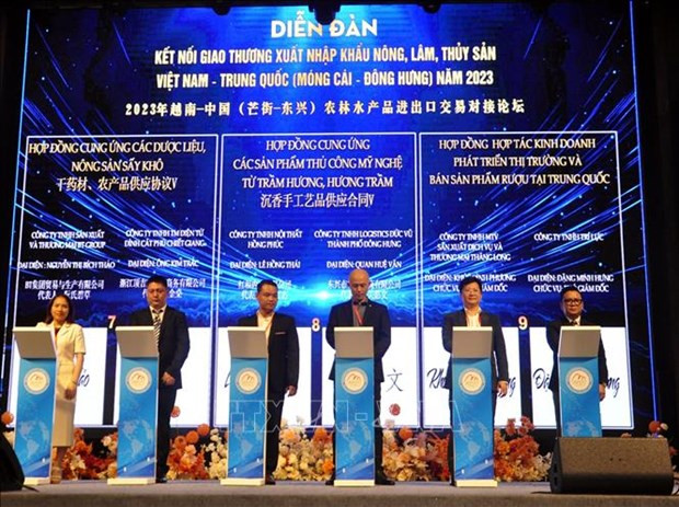 Vietnamese, Chinese firms seal 21 deals across sectors hinh anh 1