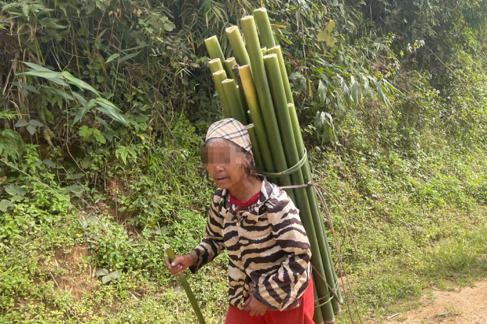 3 giải pháp để bảo tồn đa dạng sinh học, ngăn ngừa xâm hại rừng