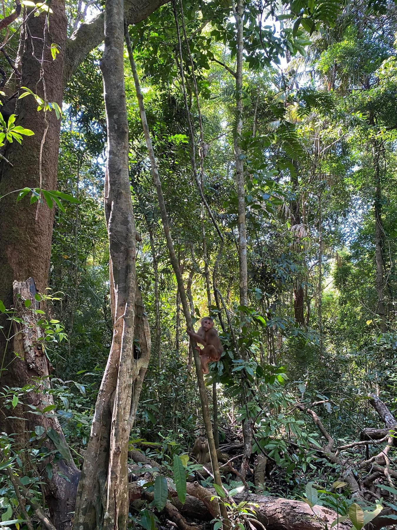 386853848 1611162616389146 8915227679738596178 n.jpg