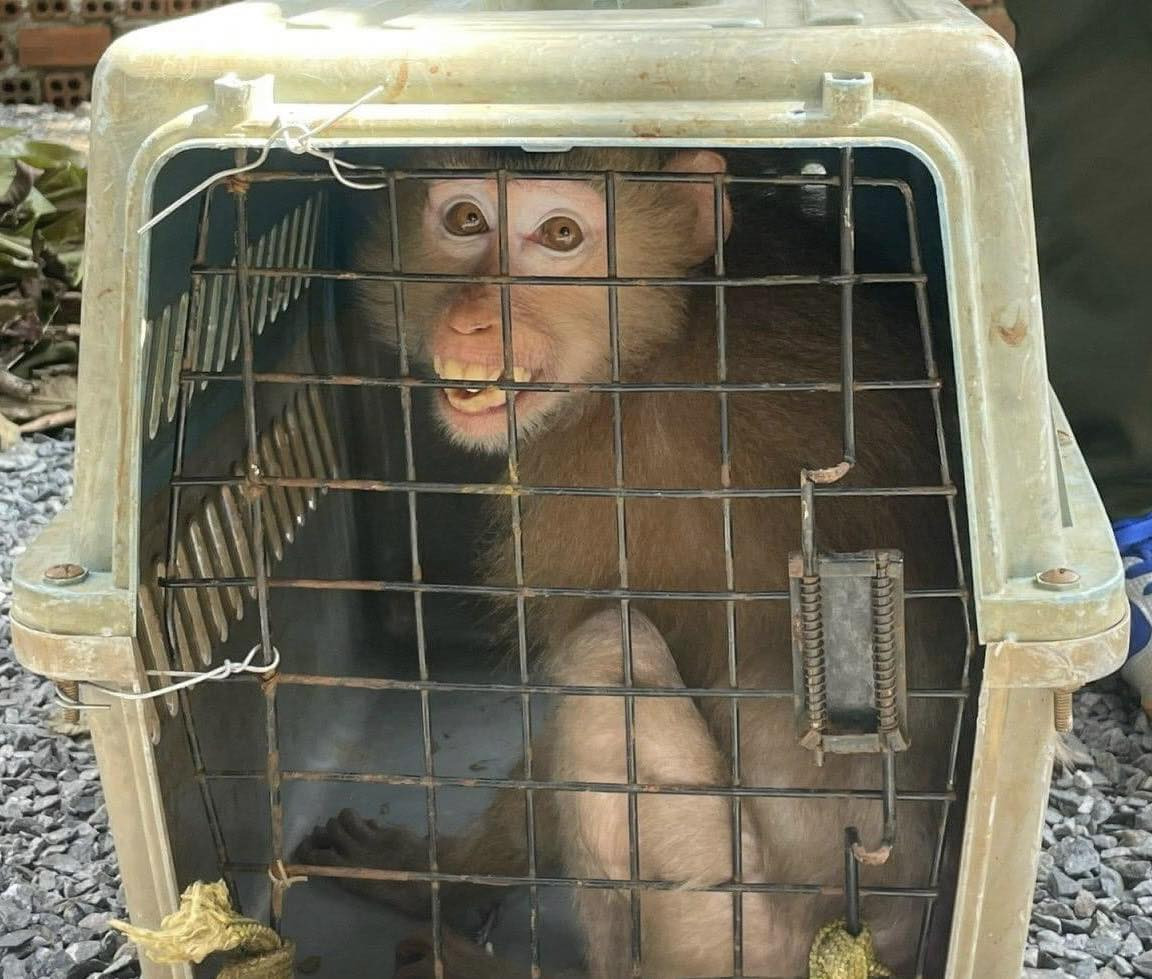 406278632 1888281551567009 4705901680595288796 n.jpg