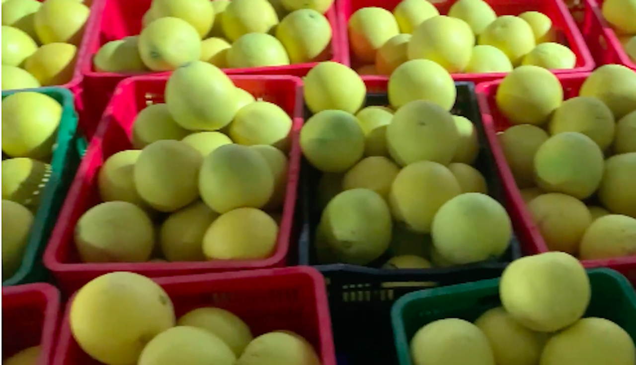 anh chup man hinh 2023 12 10 luc 082736.png