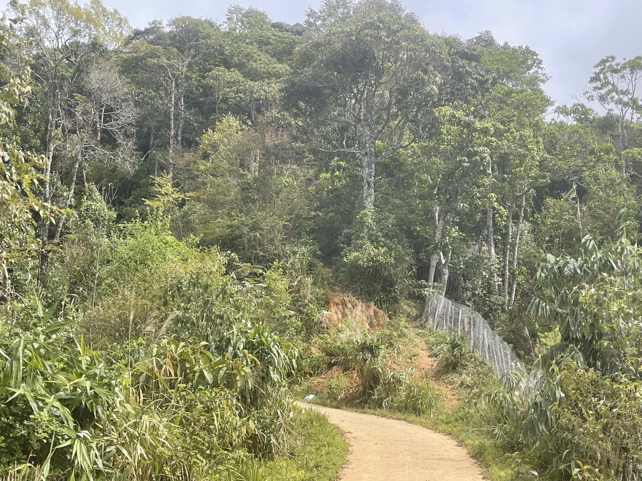 đa dag sinh học.jpg