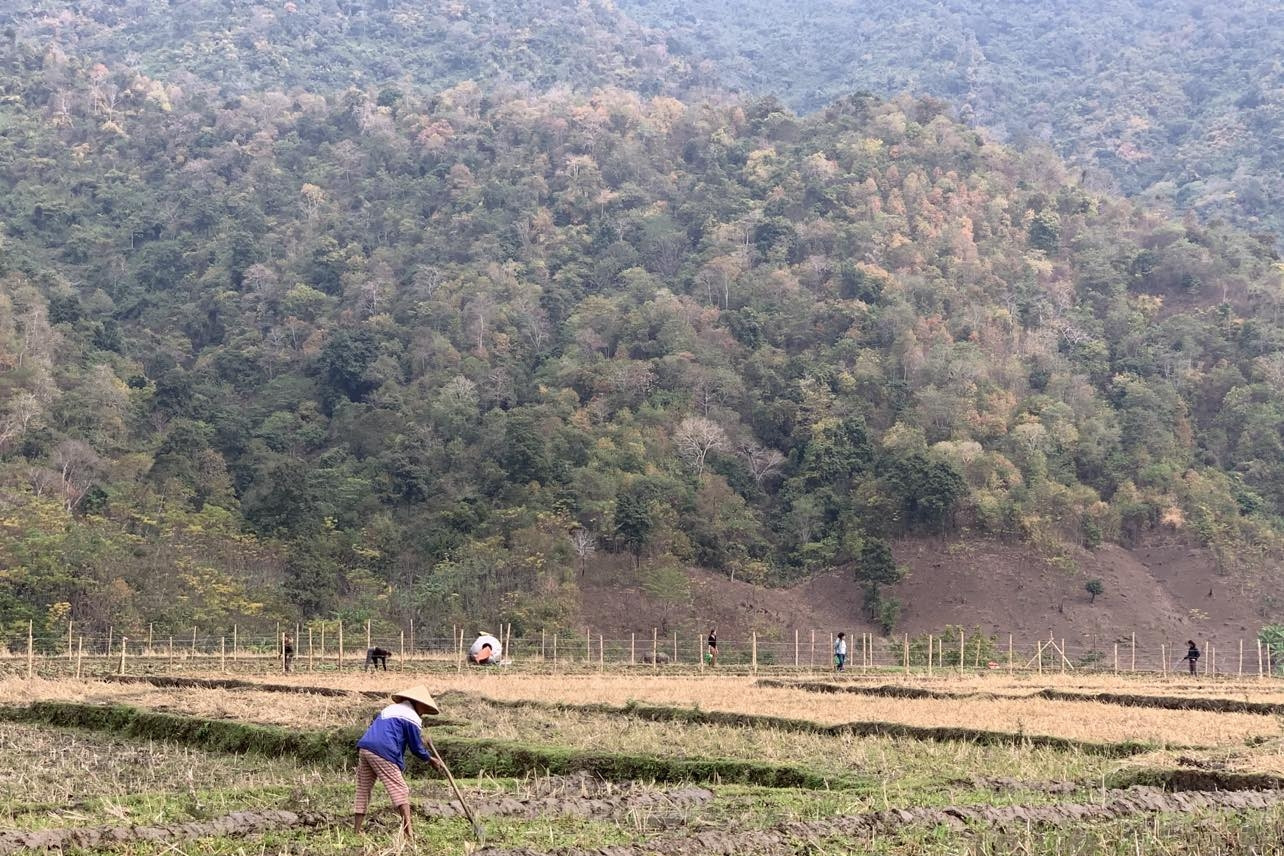 Thanh Hóa đẩy mạnh bảo tồn, ngăn chặn tội phạm đa dạng sinh học