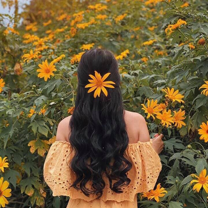 da quy check in vietnma.jpg