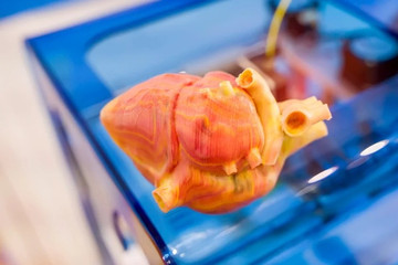 In 3D trực tiếp trên cơ thể sống có thể là cuộc cách mạng trong khoa học và y tế