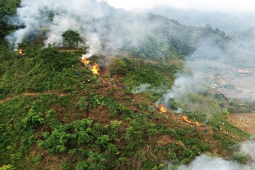 Lào Cai thực hiện các biện pháp phòng cháy, chữa cháy rừng mùa khô